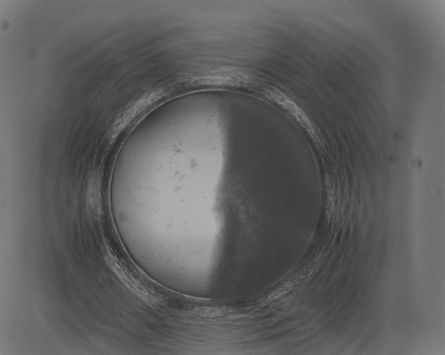 X0000082690482200702091701