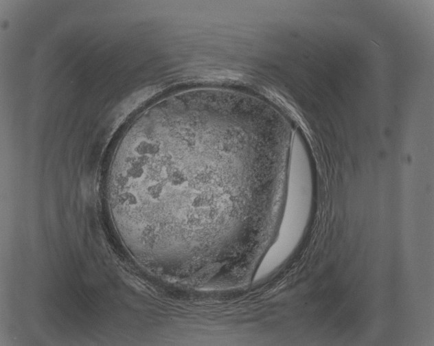 X0000082690483200702091701