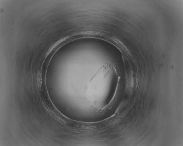 X0000082690484200702091701