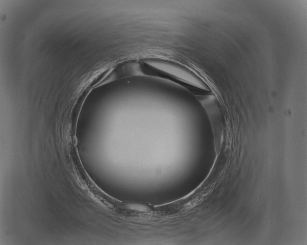 X0000082690485200702091701