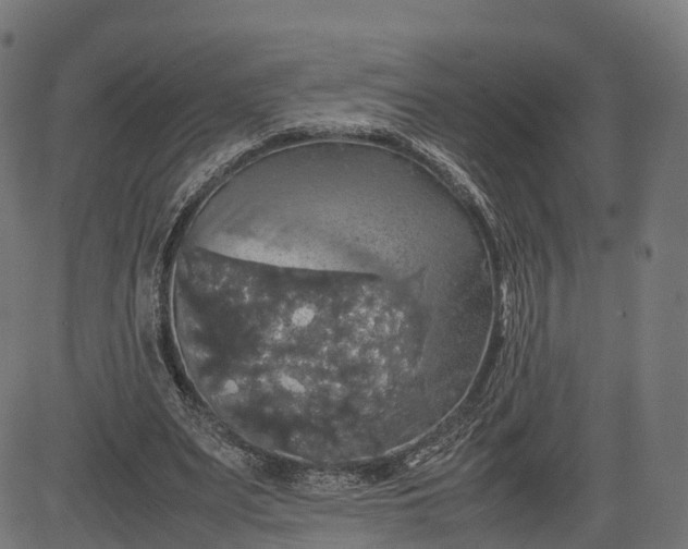 X0000082690487200702091701