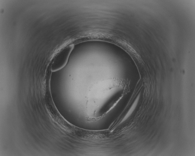 X0000082690488200702091701