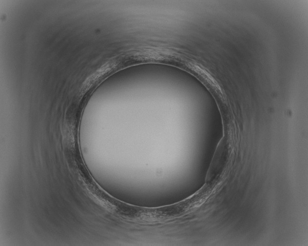 X0000082690489200702091701