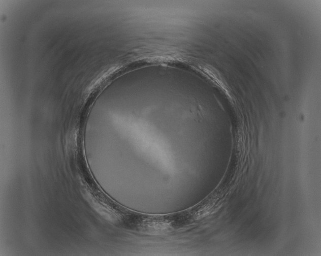 X0000082690491200702091701