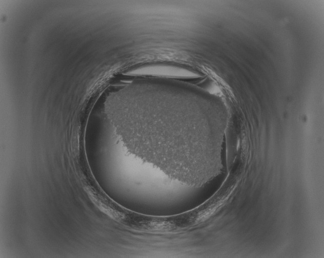 X0000082690493200702091701