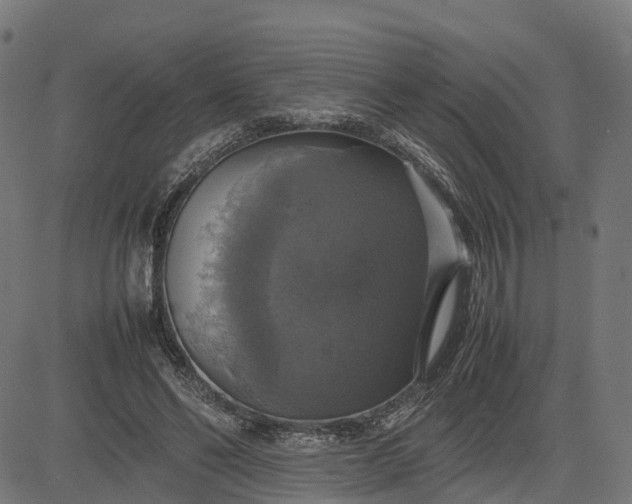 X0000082690494200702091701