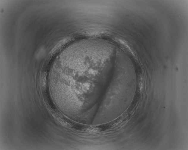 X0000082690495200702091701