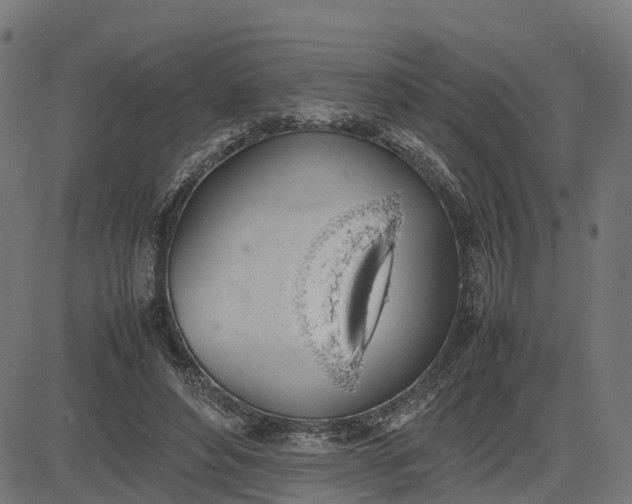 X0000082690496200702091701