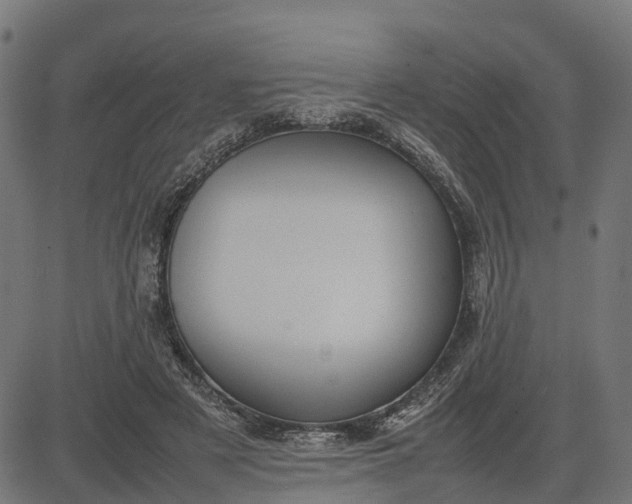 X0000082690497200702091701