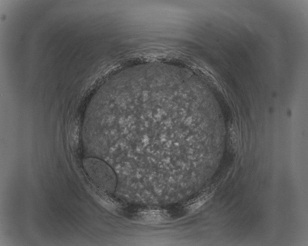 X0000082690499200702091701