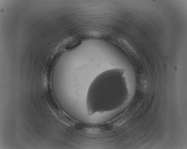 X0000082690500200702091701