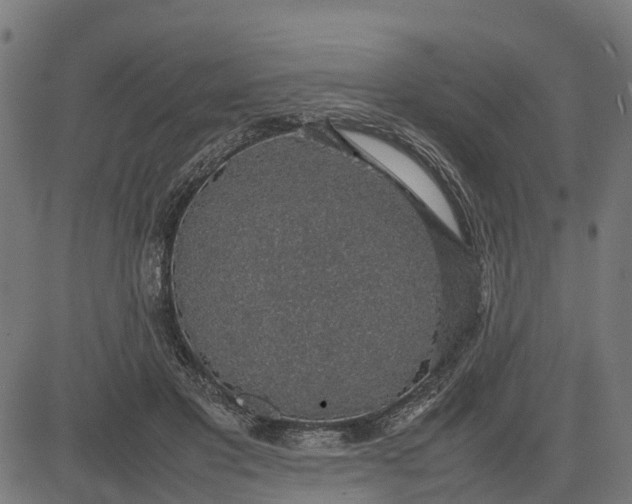 X0000082690501200702091701