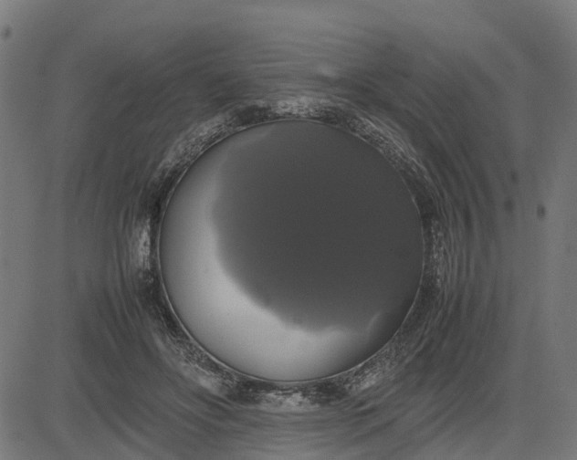 X0000082690502200702091701