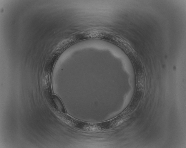 X0000082690503200702091701