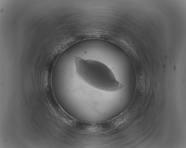 X0000082690504200702091701