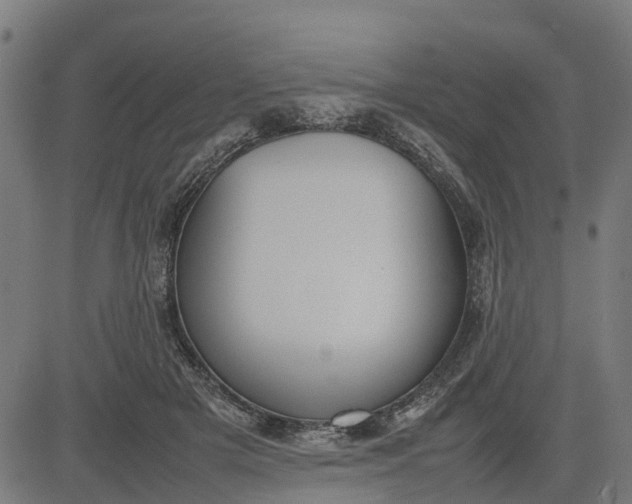 X0000082690505200702091701