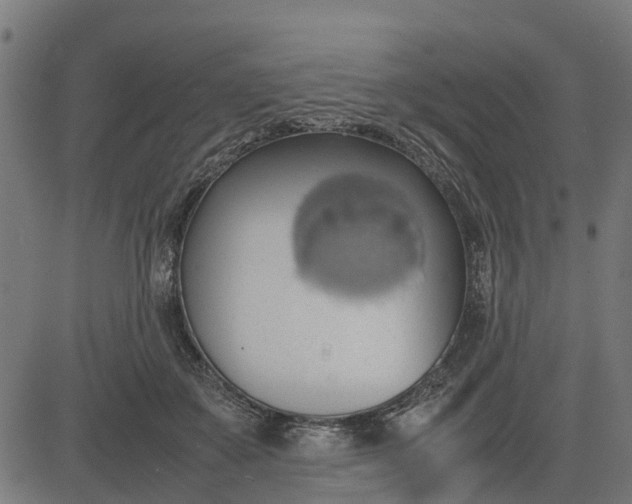 X0000082690507200702091701