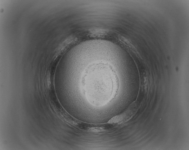 X0000082690508200702091701