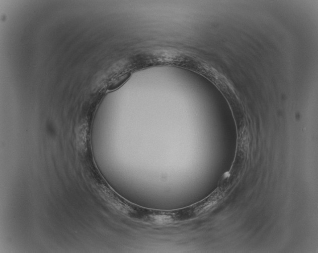 X0000082690509200702091701