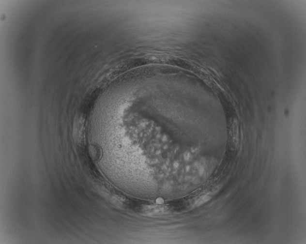 X0000082690511200702091701