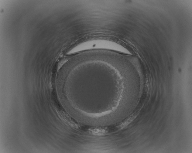 X0000082690512200702091701