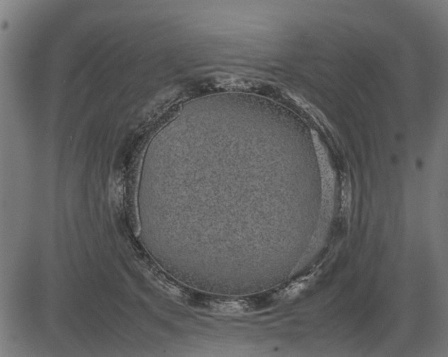 X0000082690513200702091701