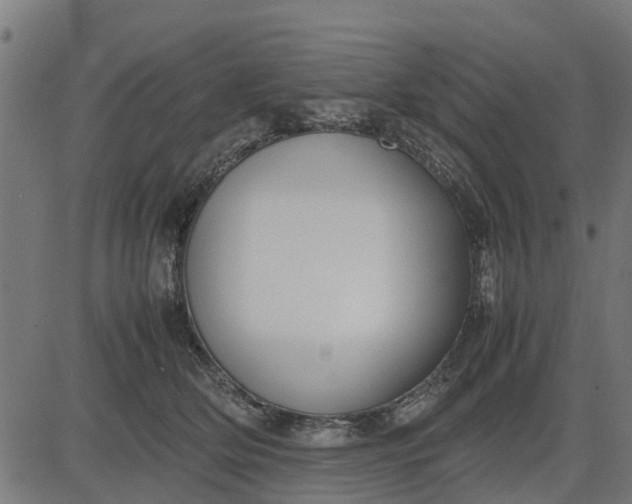 X0000082690514200702091700