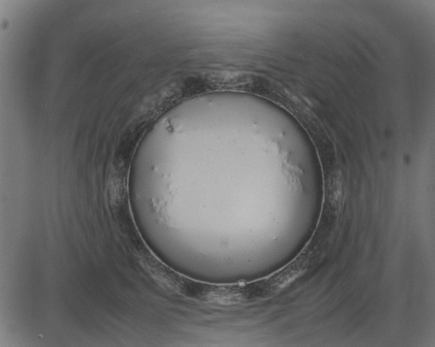 X0000082690515200702091700