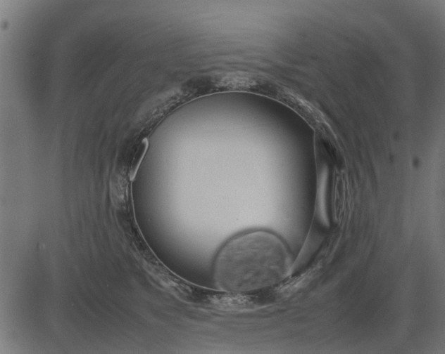 X0000082690517200702091700