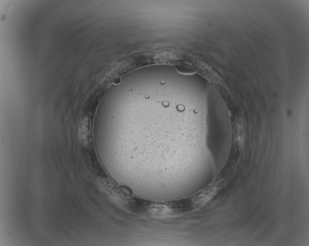 X0000082690519200702091700