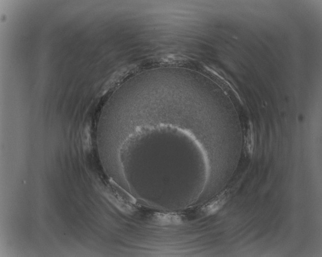 X0000082690520200702091700