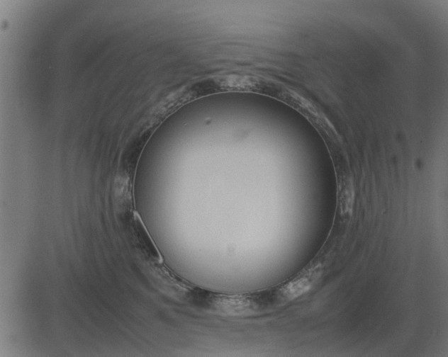 X0000082690521200702091700