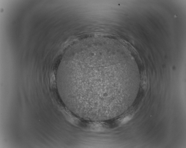 X0000082690523200702091700