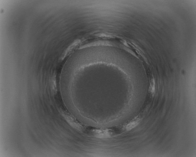 X0000082690524200702091700