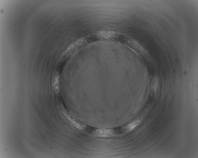 X0000082690526200702091700