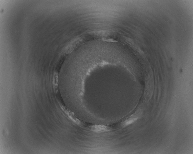 X0000082690528200702091700