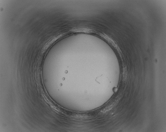 X0000082690529200702091659