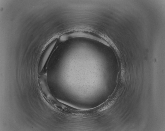 X0000082690530200702091659