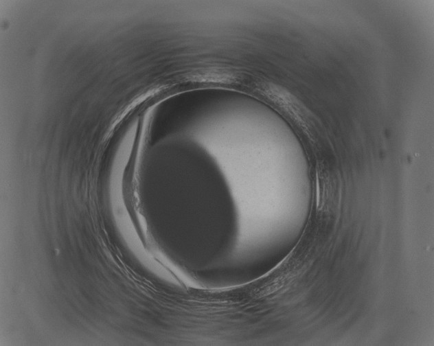 X0000082690531200702091700