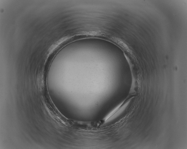 X0000082690532200702091700