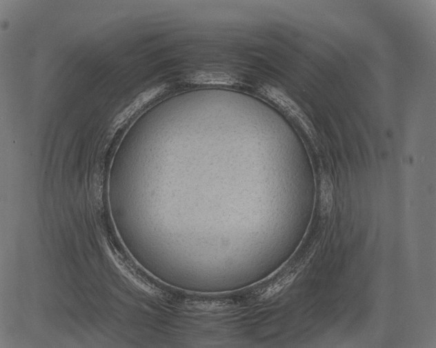 X0000082690533200702091700