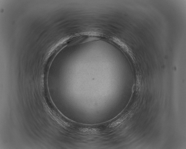 X0000082690535200702091700