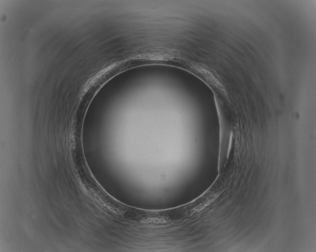 X0000082690536200702091700