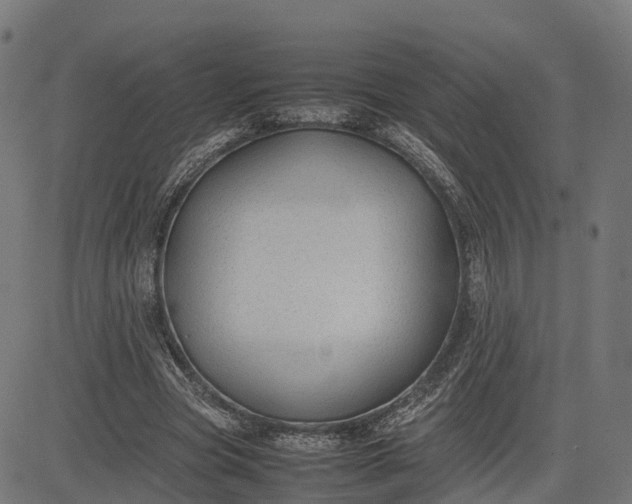 X0000082690537200702091700