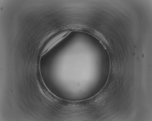 X0000082690538200702091700