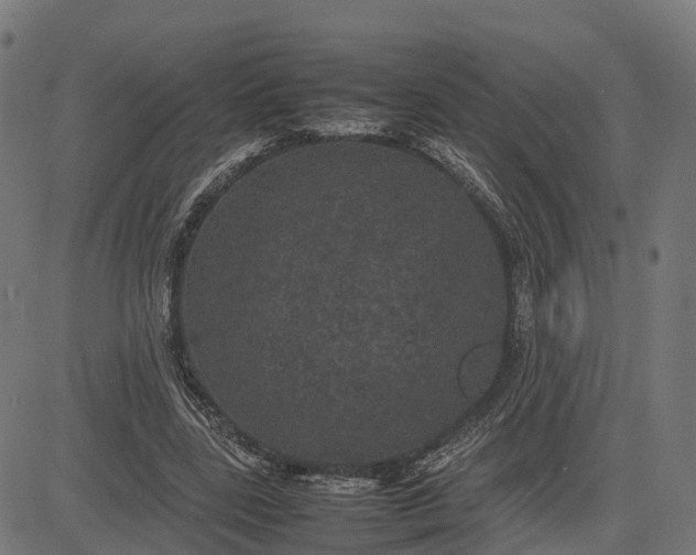 X0000082690539200702091700