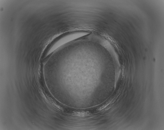 X0000082690540200702091700