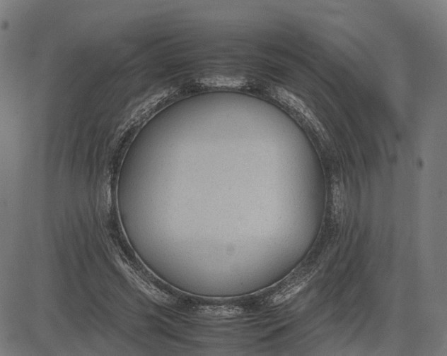 X0000082690541200702091700