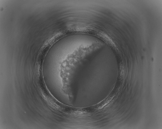 X0000082690542200702091700