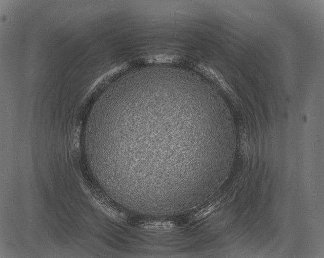 X0000082690543200702091700